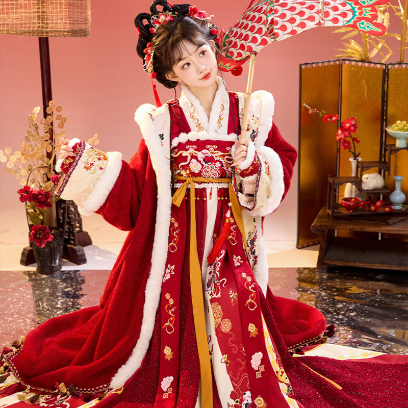 Tang Dynasty Lunar Chinese New Year Clothes  Cai 财 Women's Hanfu Traditional Dress Winter