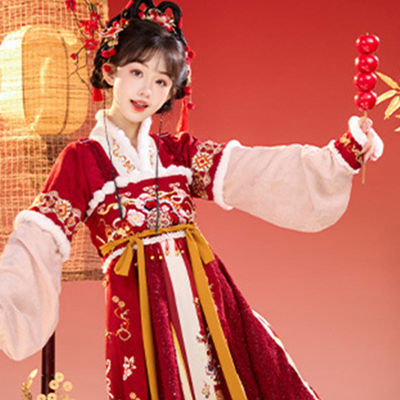 Tang Dynasty Lunar Chinese New Year Clothes  Cai 财 Women's Hanfu Traditional Dress Winter
