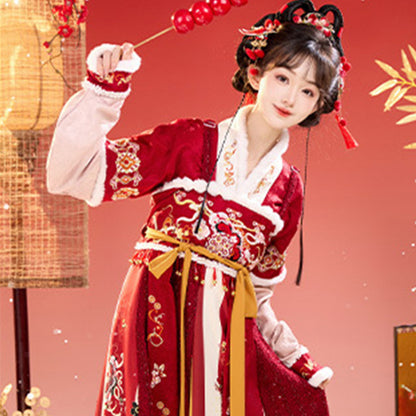 Tang Dynasty Lunar Chinese New Year Clothes  Cai 财 Women's Hanfu Traditional Dress Winter