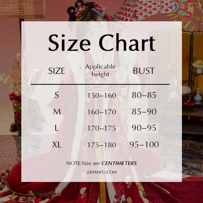 Tang Dynasty Lunar Chinese New Year Clothes  Cai 财 Women's Hanfu Traditional Dress Winter