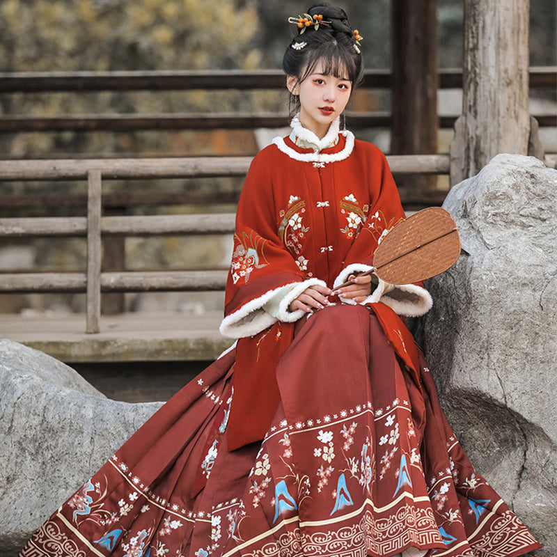 Ming Dynasty Dress Women's Mamian Skirt Yan 滟 Chinese Lunar New Year Clothing  Winter