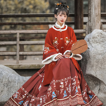 Ming Dynasty Dress Women's Mamian Skirt Yan 滟 Chinese Lunar New Year Clothing  Winter