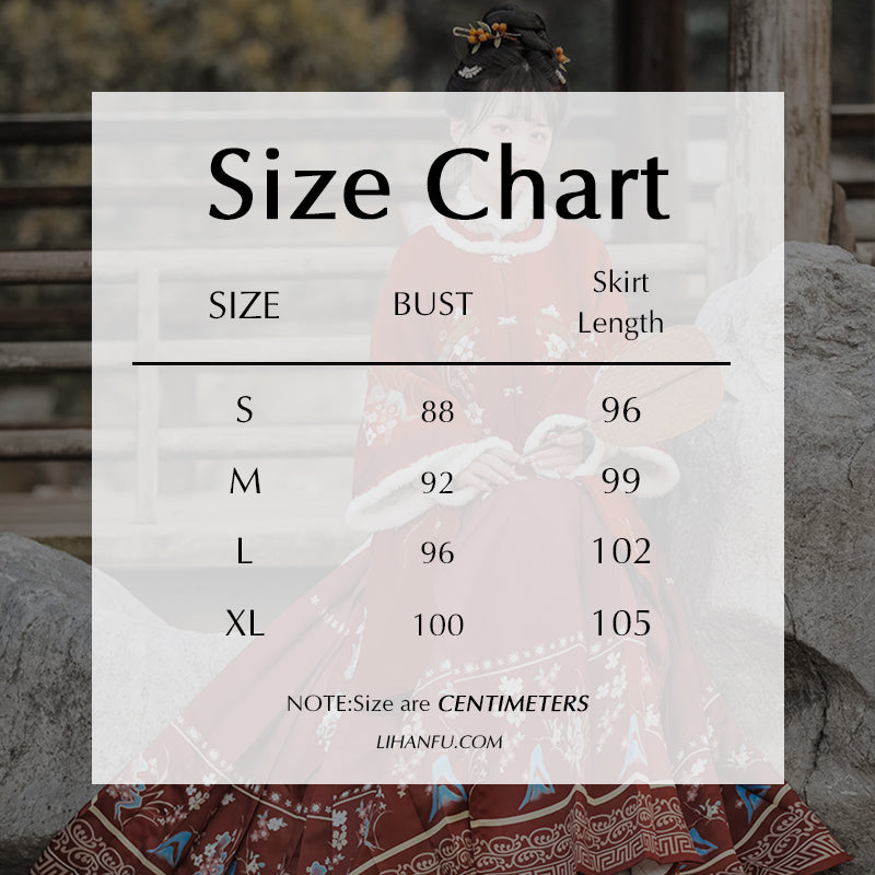 Ming Dynasty Dress Women's Mamian Skirt Yan 滟 Chinese Lunar New Year Clothing  Winter