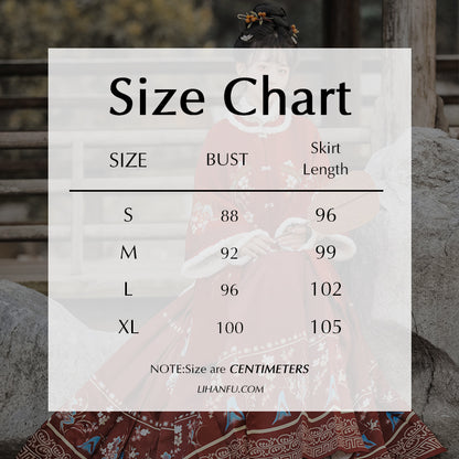 Ming Dynasty Dress Women's Mamian Skirt Yan 滟 Chinese Lunar New Year Clothing  Winter