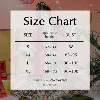 Ming Dynasty Dress Women's Mamian Skirt Songdie 颂蝶 Thicken Chinese Style Lunar New Year Clothes Winter