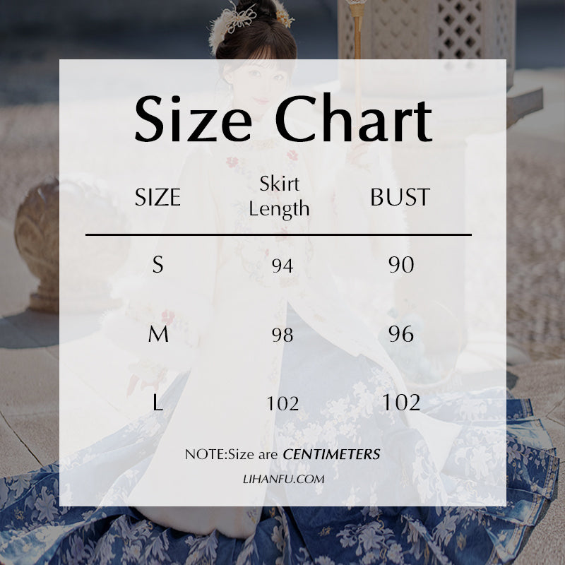 Ming Dynasty Dress Women's Mamian Skirt Xuyun 絮纭 Thicken Chinese Style Lunar New Year Clothes Winter