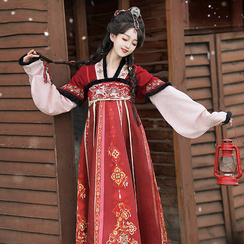 Tang Dynasty Dress Women's Robe Chisui 驰岁 Chinese Style Velvet Lunar New Year Clothing Winter