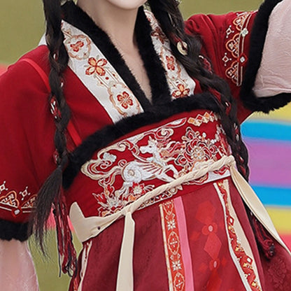 Tang Dynasty Dress Women's Robe Chisui 驰岁 Chinese Style Velvet Lunar New Year Clothing Winter