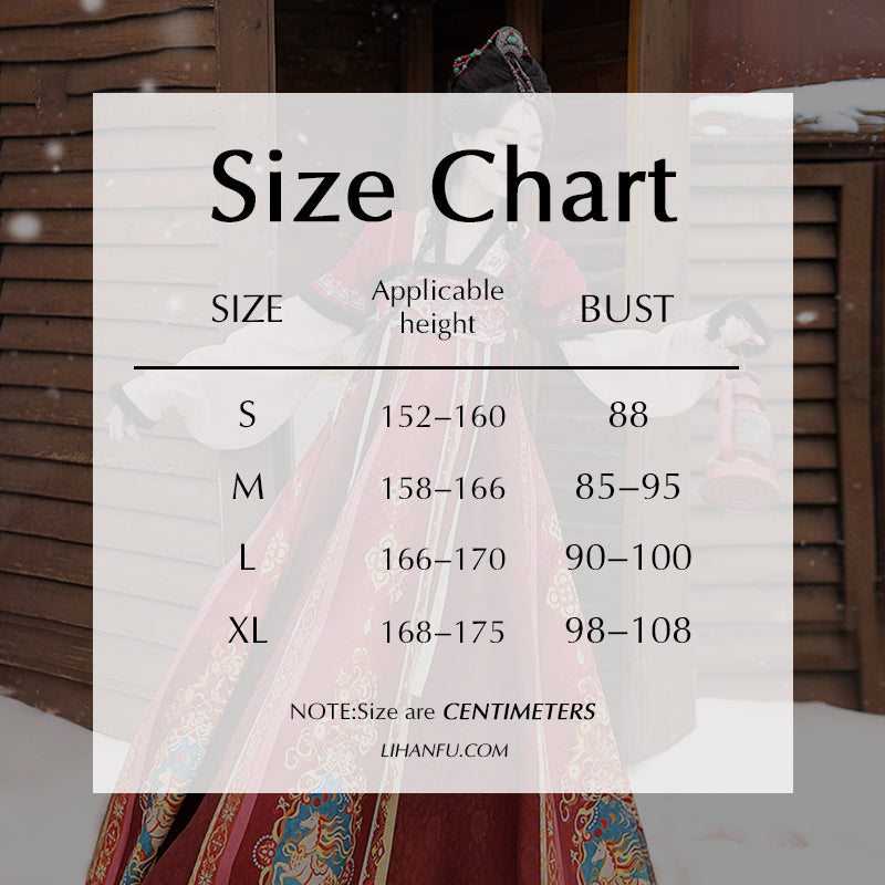 Tang Dynasty Dress Women's Robe Chisui 驰岁 Chinese Style Velvet Lunar New Year Clothing Winter