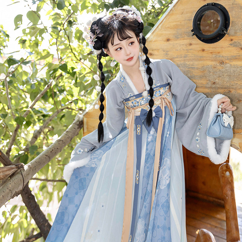 Tang Dynasty Dress Women's Robe Bingtang 冰糖 Chinese Ancient Traditional Style Velvet Clothing Winter