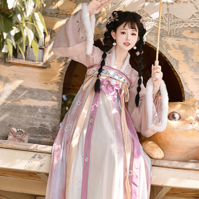 Tang Dynasty Dress Women's Robe Bingtang 冰糖 Chinese Ancient Traditional Style Velvet Clothing Winter