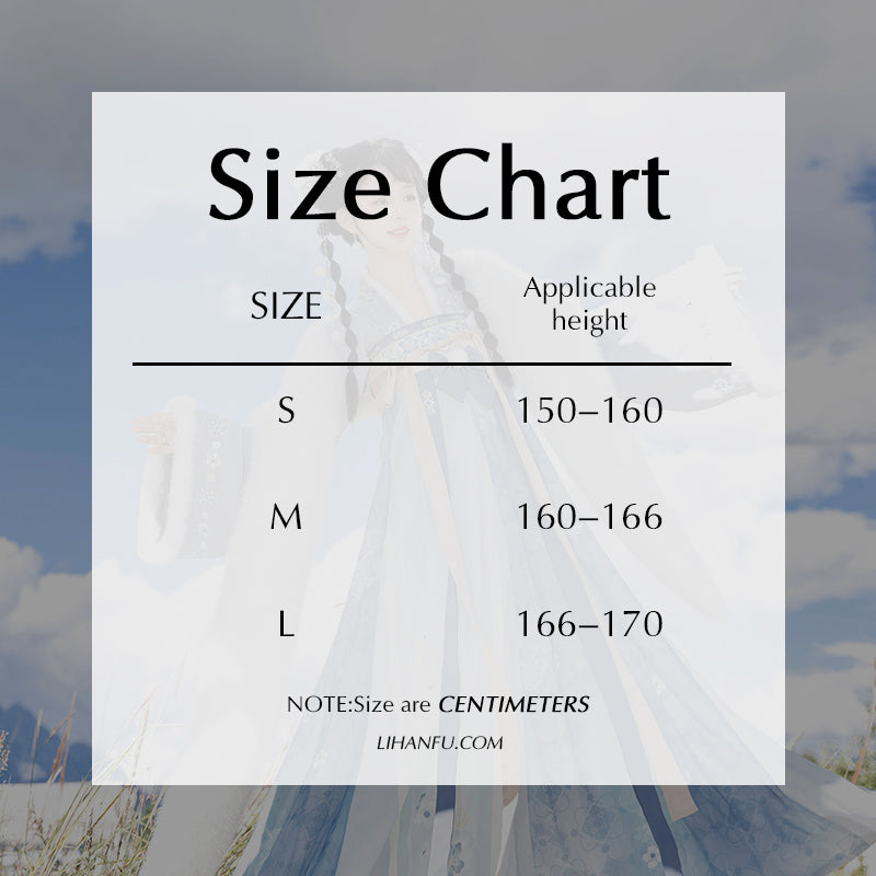 Tang Dynasty Dress Women's Robe Bingtang 冰糖 Chinese Ancient Traditional Style Velvet Clothing Winter