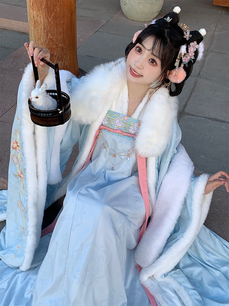 TANG Dynasty Clothing Yuchen 玉尘 Ruqun Women's Chinese Traditional Thicken Velvet Hanfu Autumn Winter