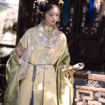Ming Dynasty Clothing Qianjin 千金 Women's Chinese Traditional Thicken Velvet Hanfu Autumn Winter