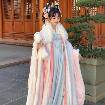 TANG Dynasty Clothing Yuchen 玉尘 Ruqun Women's Chinese Traditional Thicken Velvet Hanfu Autumn Winter
