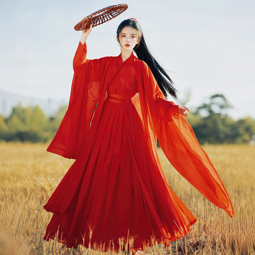 Weijin Dynasty Women's Dress Xiachenwan 侠尘婉 Traditional XIA 侠 Chinese Hanfu Clothing Spring Summer Autumn