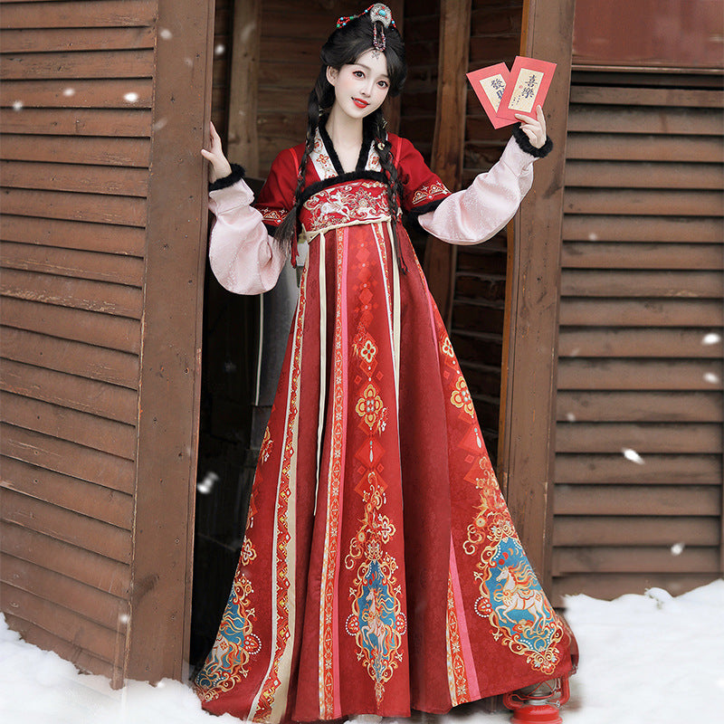 Tang Dynasty Dress Women's Robe Chisui 驰岁 Chinese Style Velvet Lunar New Year Clothing Winter