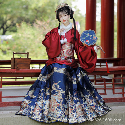 Ming Dynasty Clothing Longyinjiuxiao 龙吟九霄 Women's Chinese Traditional Hanfu Autumn Spring