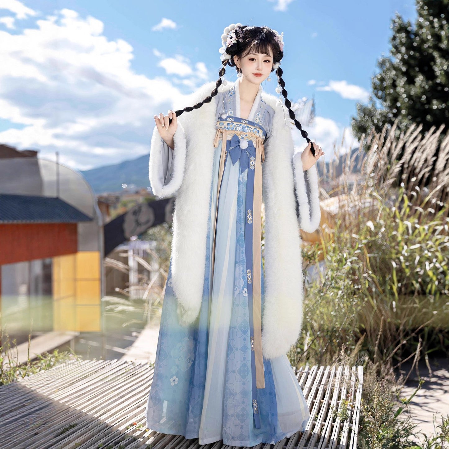 Tang Dynasty Dress Women's Robe Bingtang 冰糖 Chinese Ancient Traditional Style Velvet Clothing Winter