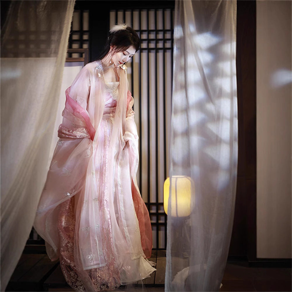 SONG Dynasty Dress Women's Fenjiaojiao 粉娇娇  Chinese Traditional Hanfu Clothing Spring Summer Autumn