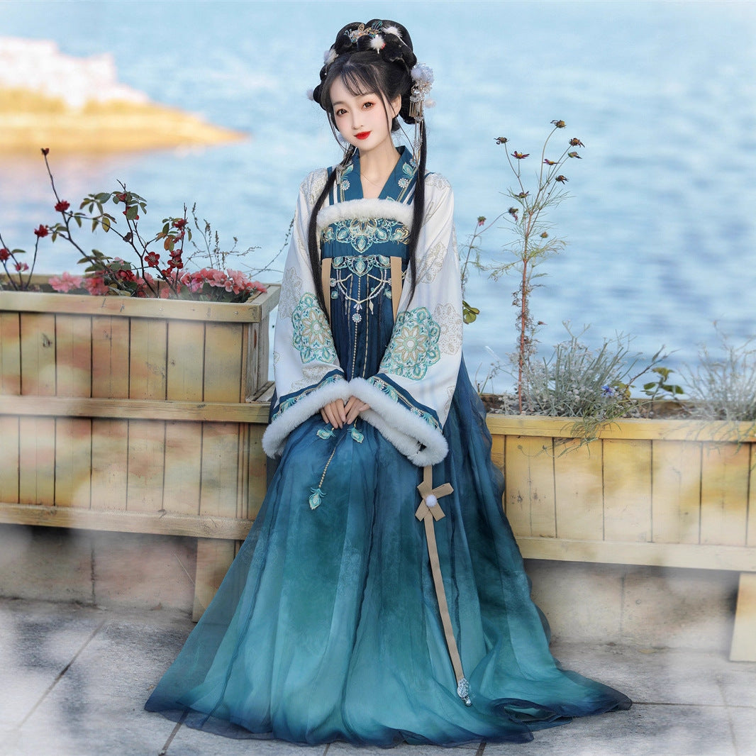 TANG Dynasty Clothing Yanruyu 颜如玉 Ruqun Women's Chinese Traditional Thicken Velvet Hanfu Autumn Winter