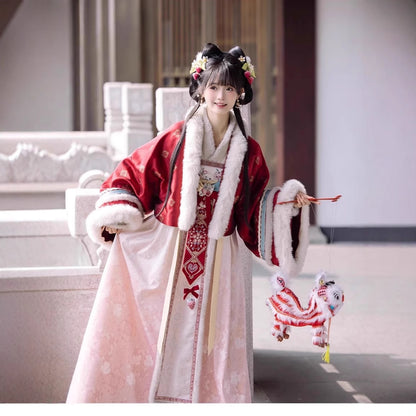 TANG Dynasty Clothing Famensi 法门寺 Ruqun Women's Chinese Traditional Thicken Velvet Hanfu Autumn Winter