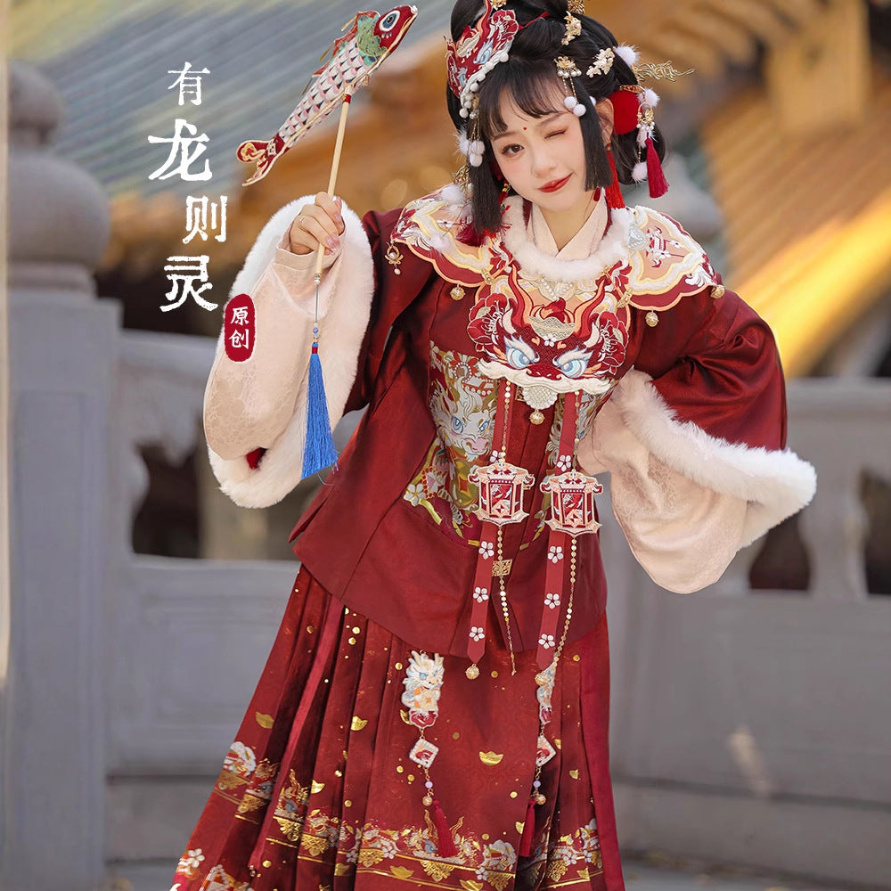 Ming Dynasty Mamian Clothing Linglong 灵龙 Women's Chinese Traditional Thicken Velvet Lunar New Year Hanfu Autumn Winter
