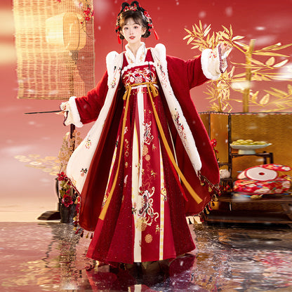 Tang Dynasty Lunar Chinese New Year Clothes  Cai 财 Women's Hanfu Traditional Dress Winter