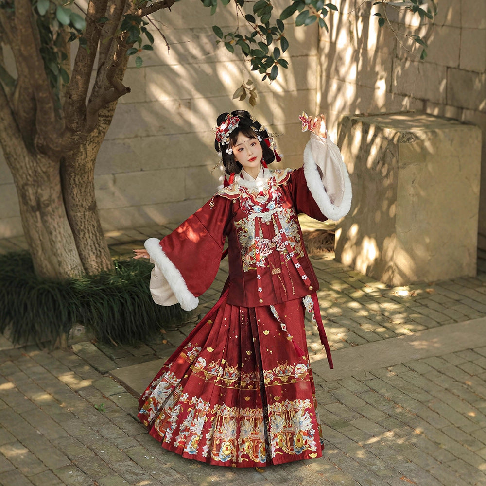Ming Dynasty Mamian Clothing Linglong 灵龙 Women's Chinese Traditional Thicken Velvet Lunar New Year Hanfu Autumn Winter