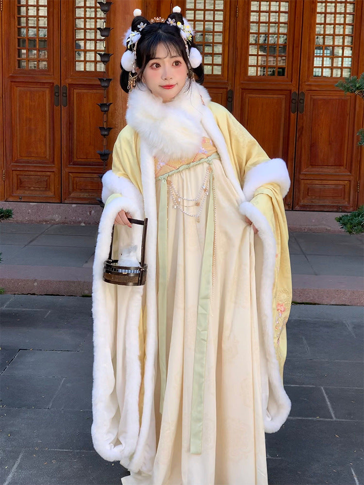 TANG Dynasty Clothing Yuchen 玉尘 Ruqun Women's Chinese Traditional Thicken Velvet Hanfu Autumn Winter