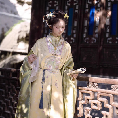 Ming Dynasty Clothing Qianjin 千金 Women's Chinese Traditional Thicken Velvet Hanfu Autumn Winter