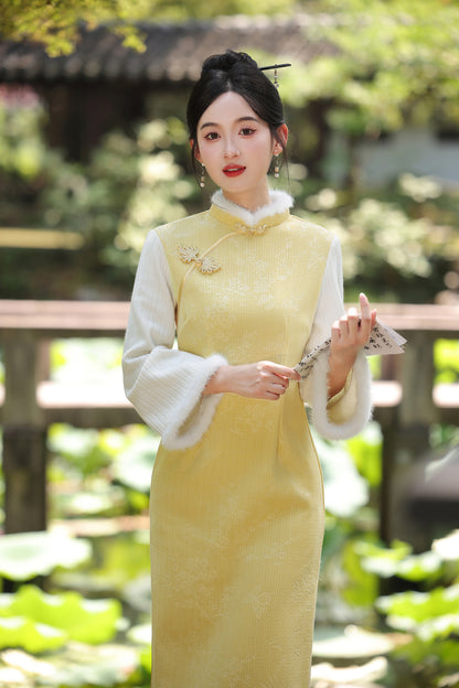Women's Qipao Dongyun 冬韵 Asian Thicken Dress Chinese Modern Hanfu Clothing Velvet Cheongsam Winter