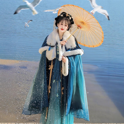 TANG Dynasty Clothing Yanruyu 颜如玉 Ruqun Women's Chinese Traditional Thicken Velvet Hanfu Autumn Winter