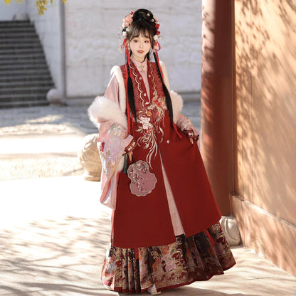 Ming Dynasty Clothing Youfenglaiyi 有凤来仪 Women's Chinese Traditional Thicken Velvet Lunar New Year Hanfu Autumn Winter