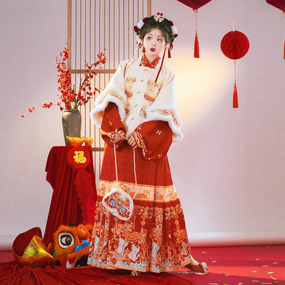 Ming Dynasty Mamian Clothing Baolong 宝龙 Women's Chinese Traditional Thicken Velvet Lunar New Year Hanfu Autumn Winter