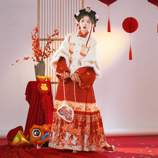 Ming Dynasty Mamian Clothing Baolong 宝龙 Women's Chinese Traditional Thicken Velvet Lunar New Year Hanfu Autumn Winter