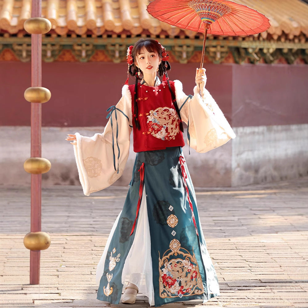 Ming Dynasty Mamian Clothing Chenlong 辰龙 Women's Chinese Traditional Thicken Velvet Lunar New Year Hanfu Autumn Winter
