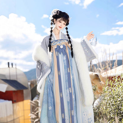 Tang Dynasty Dress Women's Robe Bingtang 冰糖 Chinese Ancient Traditional Style Velvet Clothing Winter