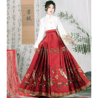 Mamian Skirts Furongfeixian 芙蓉飞仙 Women's Traditional Clothing Chinese Hanfu