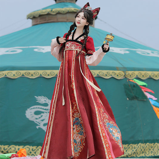 Tang Dynasty Dress Women's Robe Chisui 驰岁 Chinese Style Velvet Lunar New Year Clothing Winter