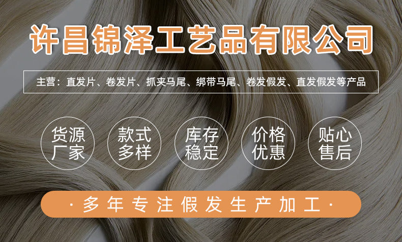Traditional Chinese Hairstyle Wig Chunxiao 春晓 Hanfu Historical Royal Hairpieces