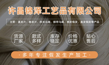 Traditional Chinese Hairstyle Wig Chunxiao 春晓 Hanfu Historical Royal Hairpieces