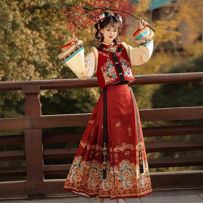 Ming Dynasty Dress Women's Mamian Skirt Luyu 鹿屿 Thicken Chinese Style Lunar New Year Clothing Winter