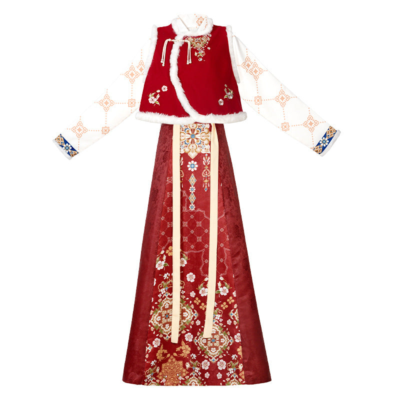 Ming Dynasty Clothing Chunshao 春梢 Women's Chinese Traditional Thicken Velvet Lunar New Year Hanfu Autumn Winter