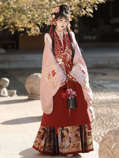 Ming Dynasty Clothing Youfenglaiyi 有凤来仪 Women's Chinese Traditional Thicken Velvet Lunar New Year Hanfu Autumn Winter