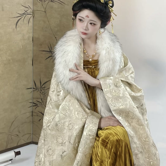 TANG Dynasty Clothing Guinv 贵女 Ruqun Women's Chinese Traditional Thicken Velvet Hanfu Autumn Winter