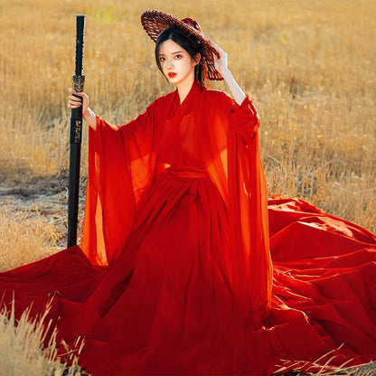 Weijin Dynasty Women's Dress Xiachenwan 侠尘婉 Traditional XIA 侠 Chinese Hanfu Clothing Spring Summer Autumn