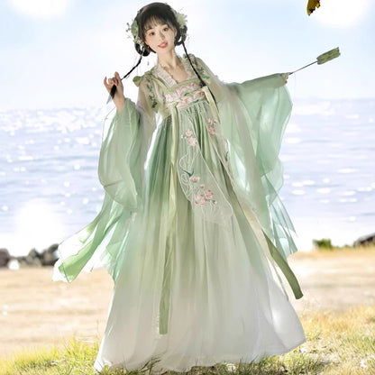 TANG Dynasty Dress Women's Qinghe 清菏 Ruqun Hanfu  Spring Summer Autumn
