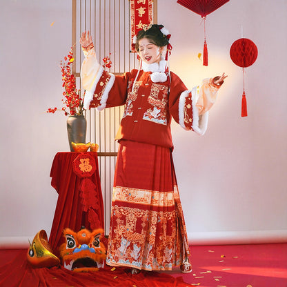 Ming Dynasty Mamian Clothing Baolong 宝龙 Women's Chinese Traditional Thicken Velvet Lunar New Year Hanfu Autumn Winter