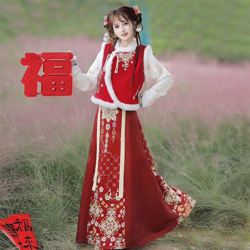 Ming Dynasty Clothing Chunshao 春梢 Women's Chinese Traditional Thicken Velvet Lunar New Year Hanfu Autumn Winter